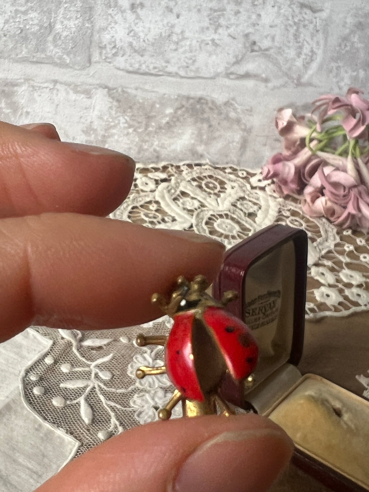 ★てんとうむしの小さなブローチ