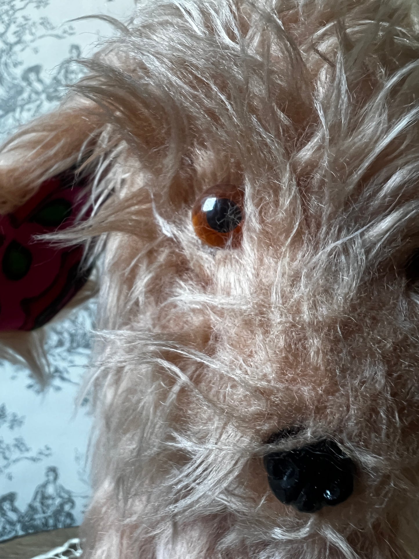 古い犬のぬいぐるみ