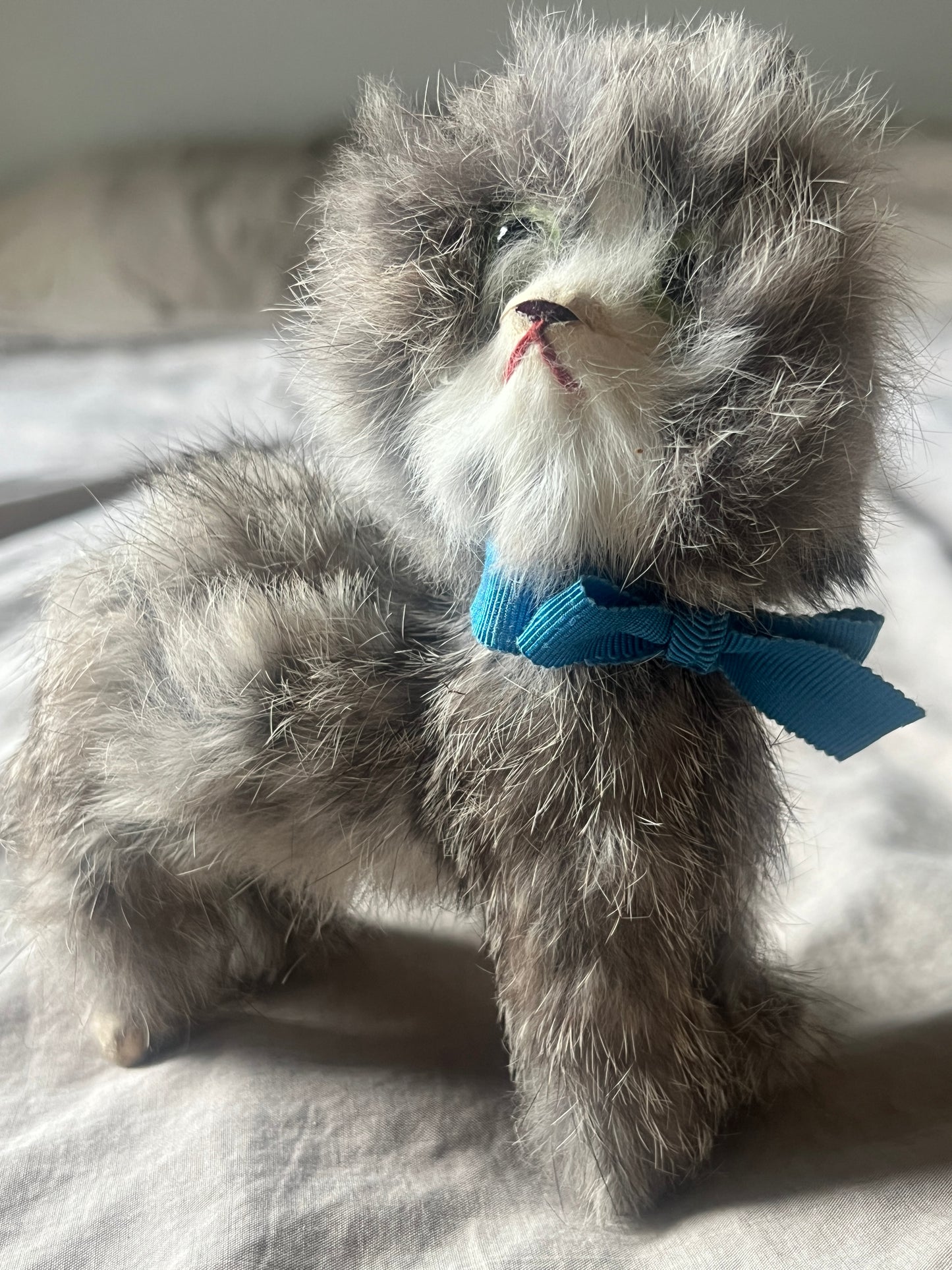 ヴィンテージの猫