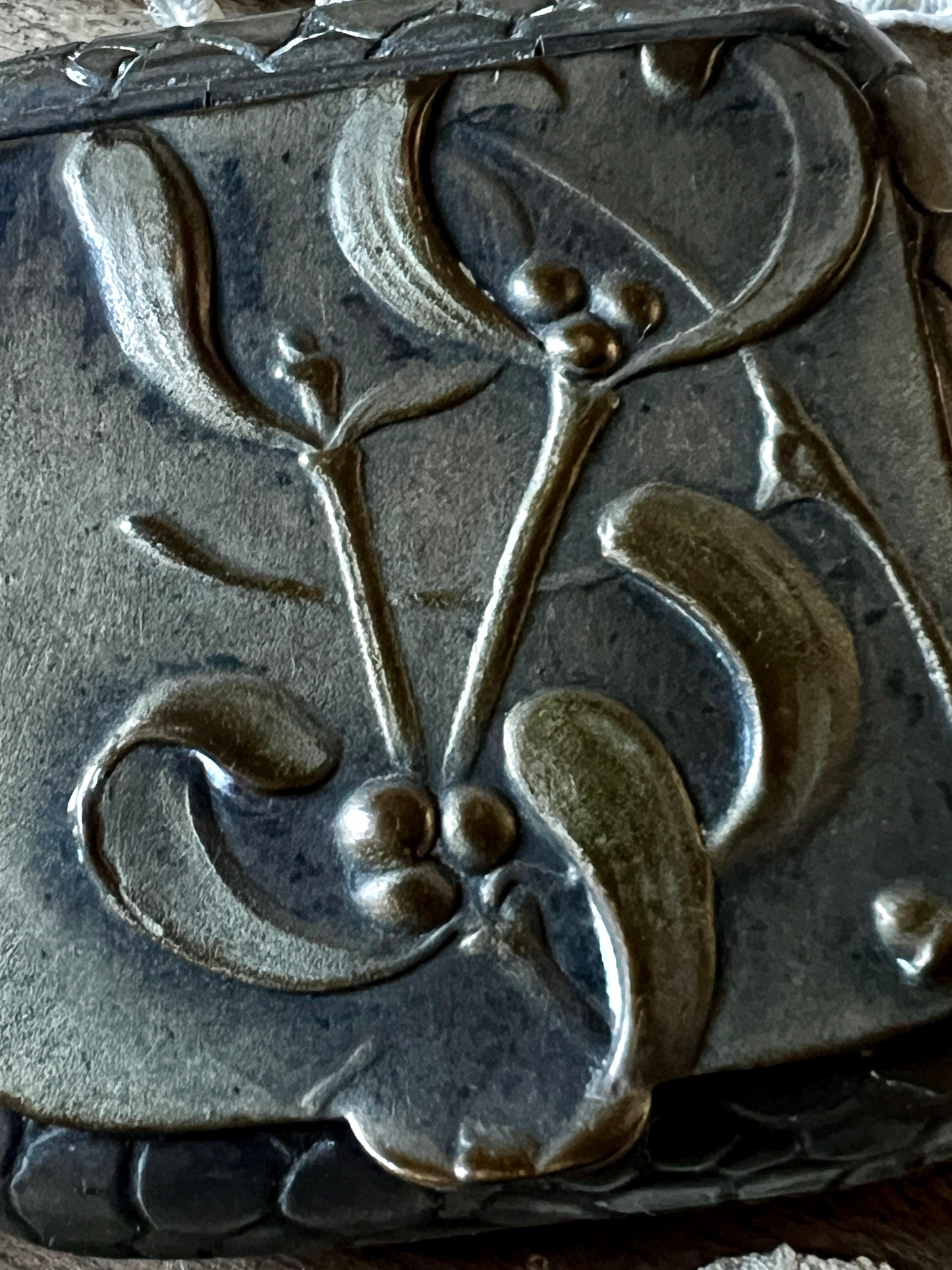 ★ヤドリギのケース