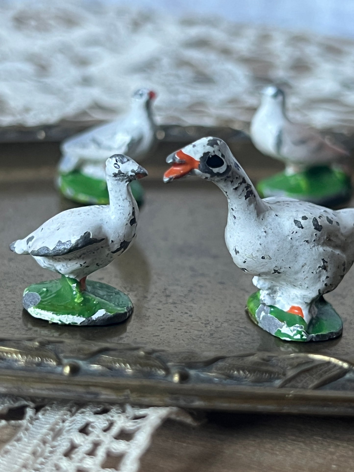 鳥セット