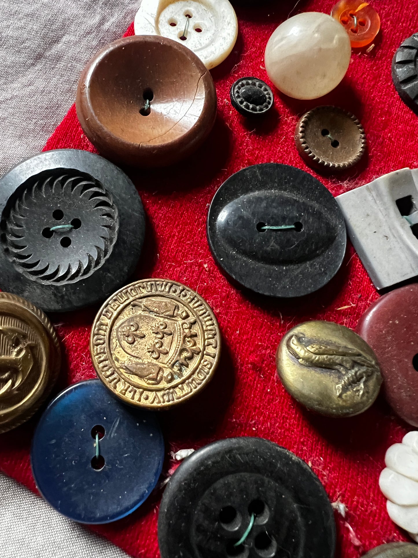 台紙付きボタン見本シート