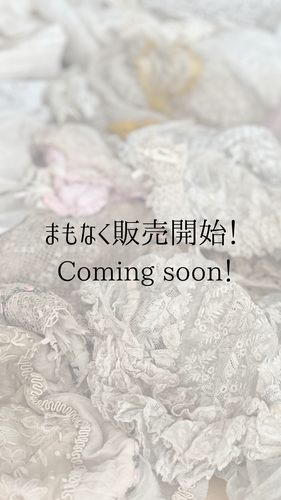 2025/12/12 販売開始予定