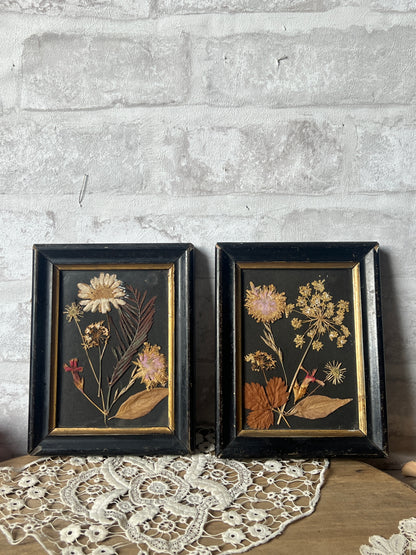 押し花の入ったフレームセット