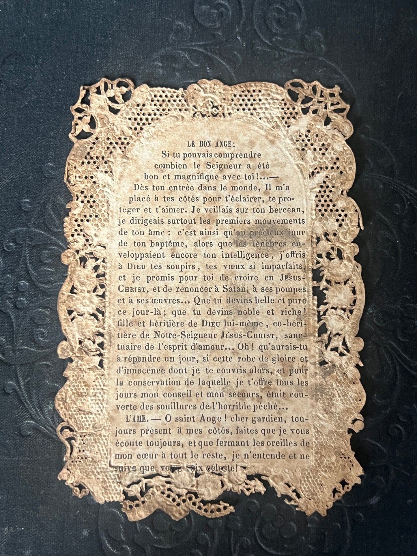 ★カニヴェカード