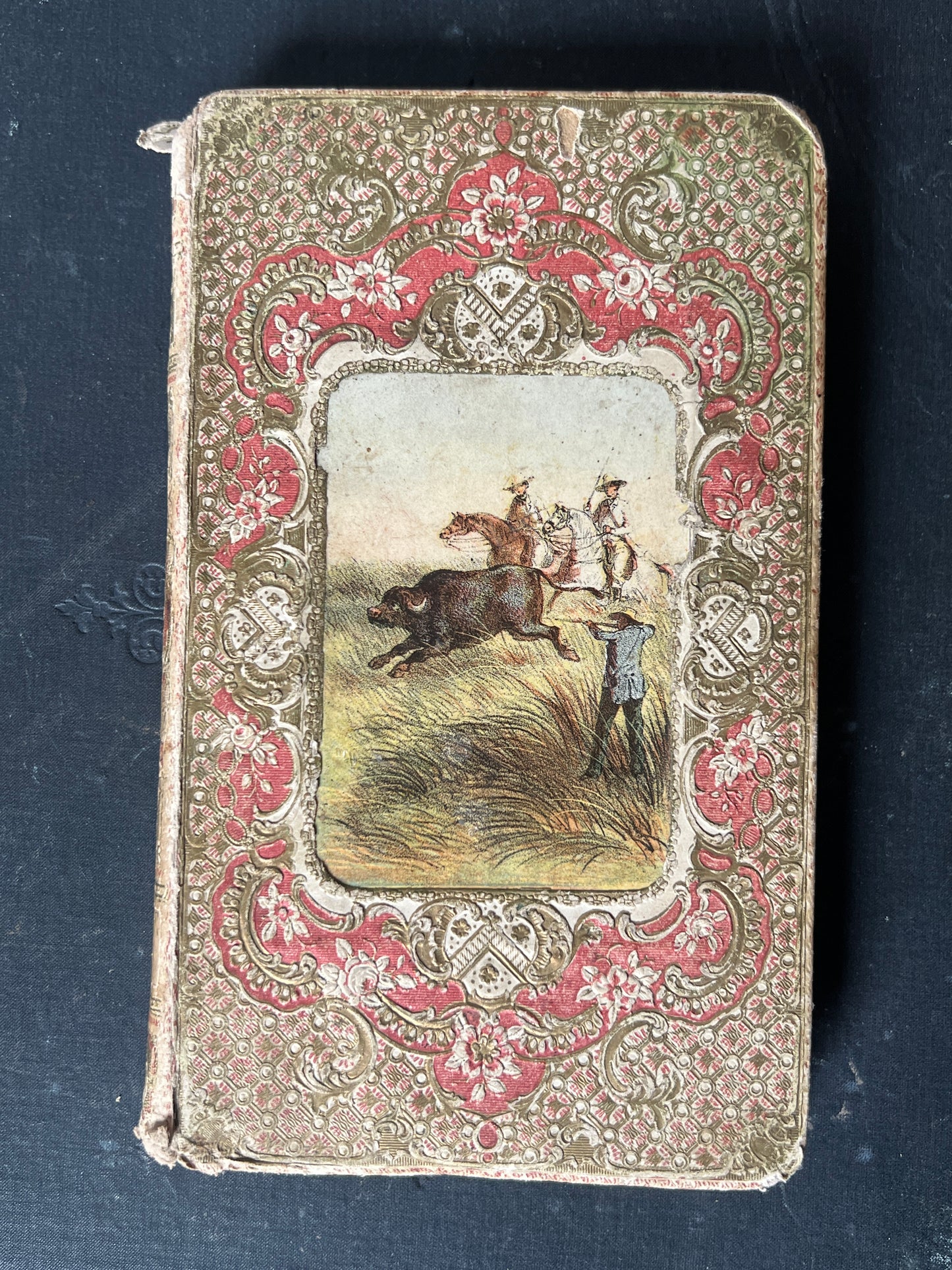 ★古い本（Un Tour dans les Prairies）
