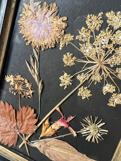 押し花の入ったフレームセット