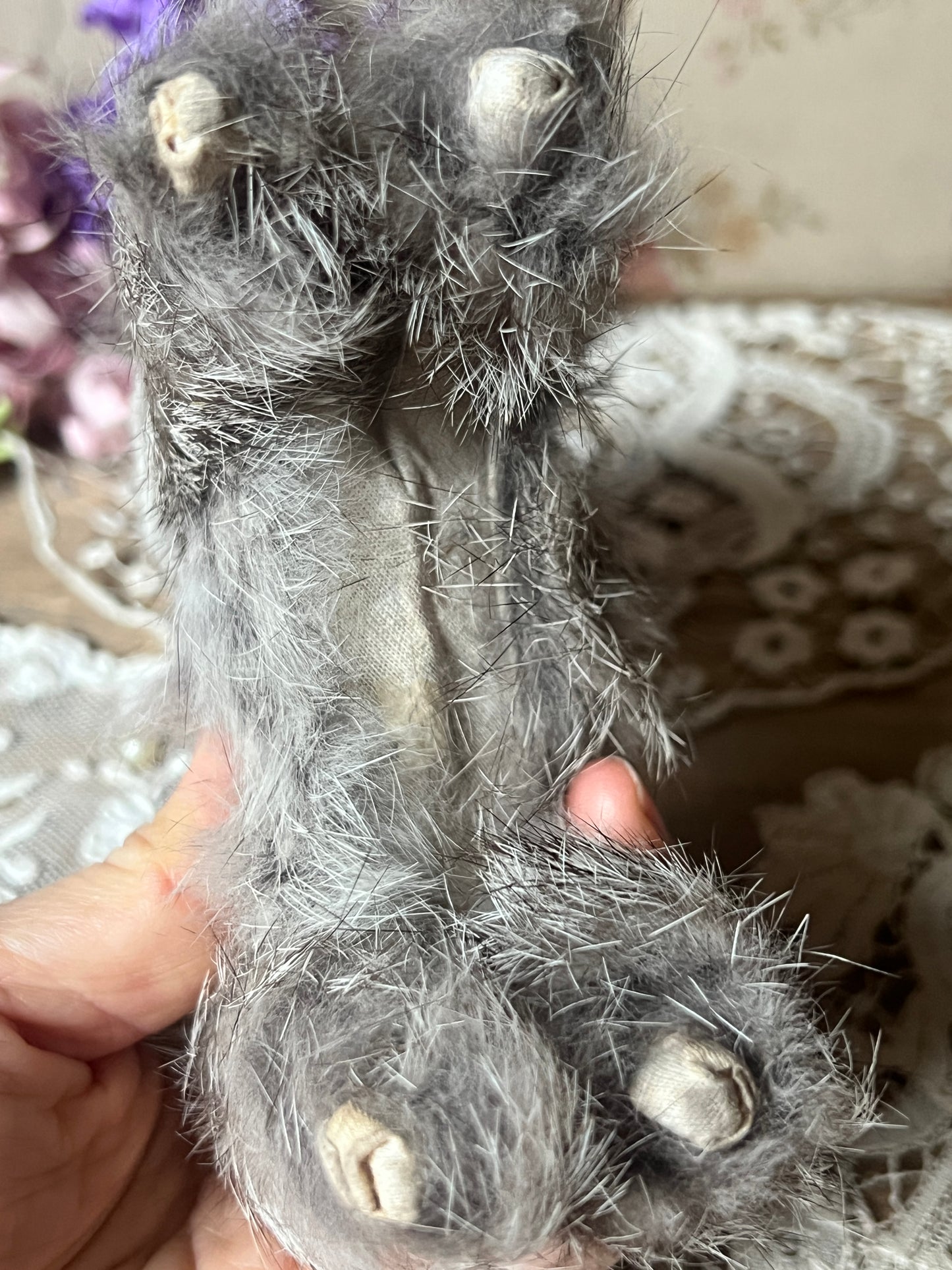 ヴィンテージの猫