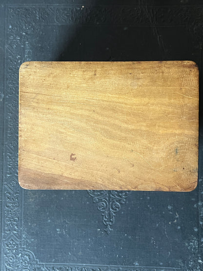 スミレとミモザのモシュリンヌ