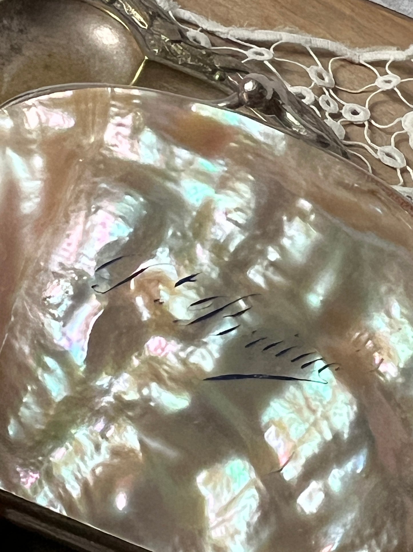 マザーオブパールのがま口(ダメージ)