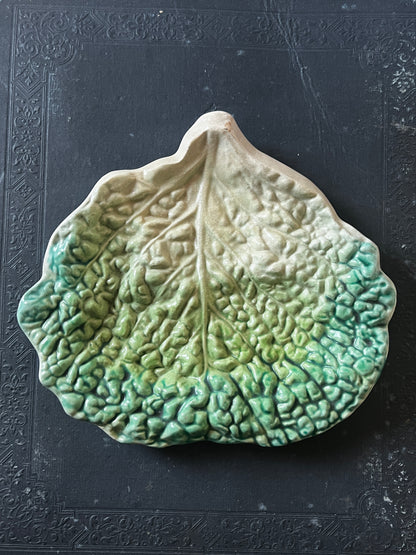 ★キャベツ型バルボティーヌ