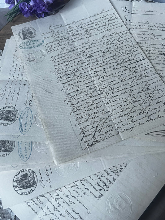 19世紀手描き公文書セット