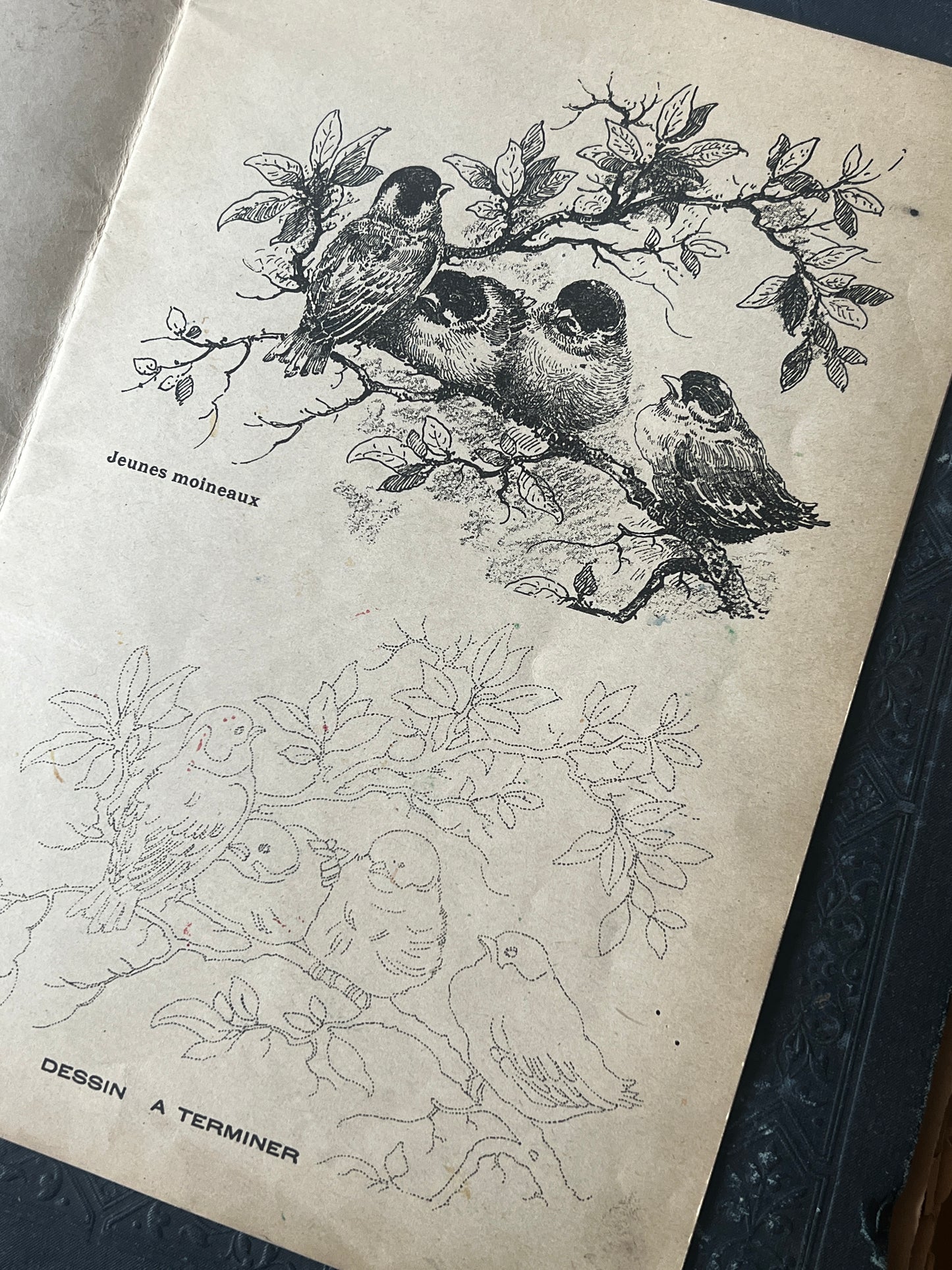 ★鳥の塗り絵帳