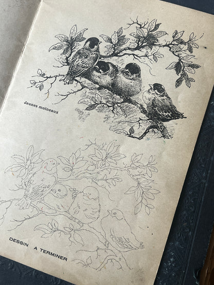 ★鳥の塗り絵帳