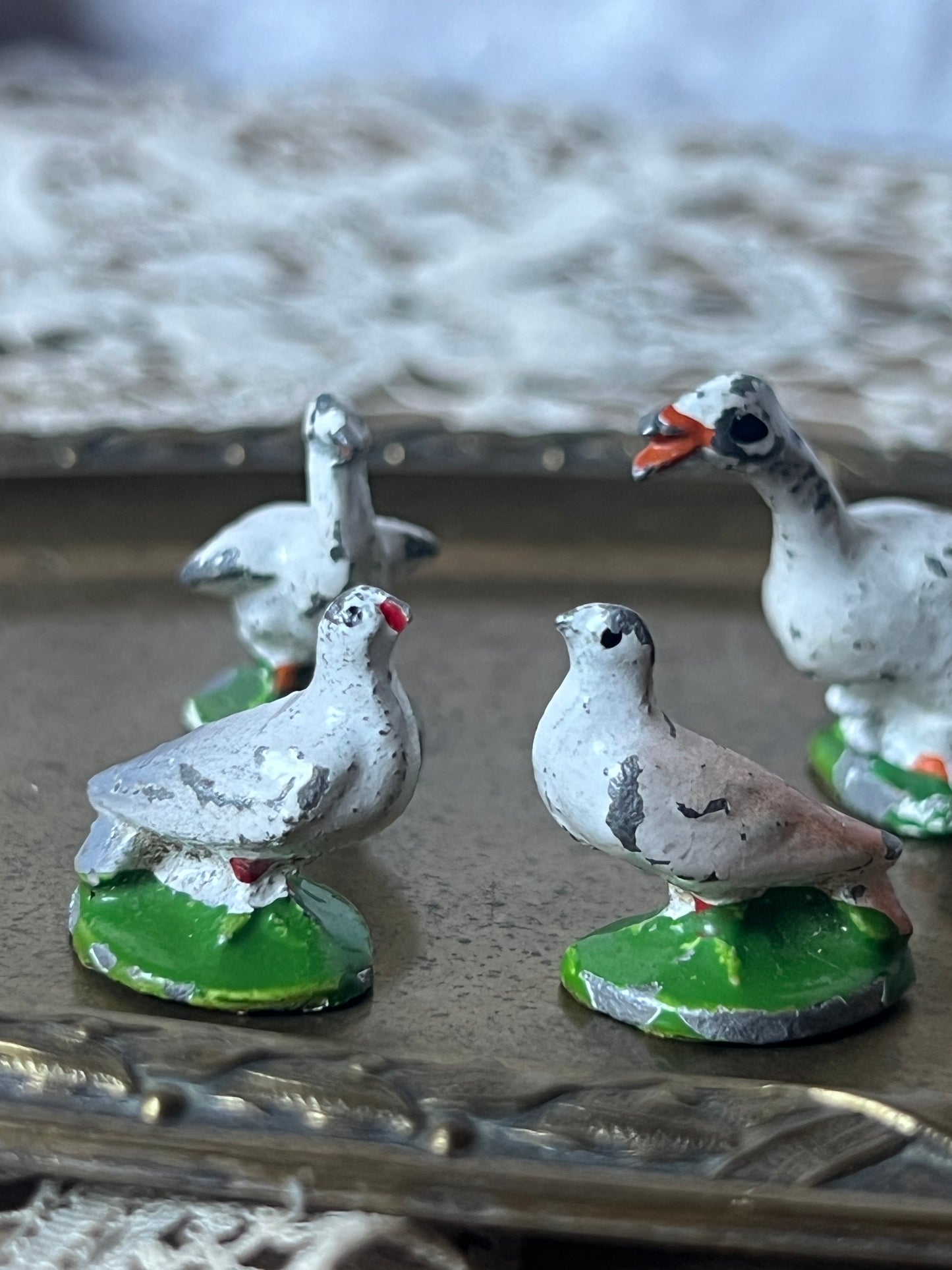 鳥セット
