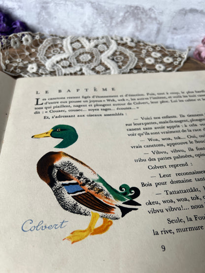 ★ヴィンテージ絵本(PLOUF CANARD SAUVAGE)