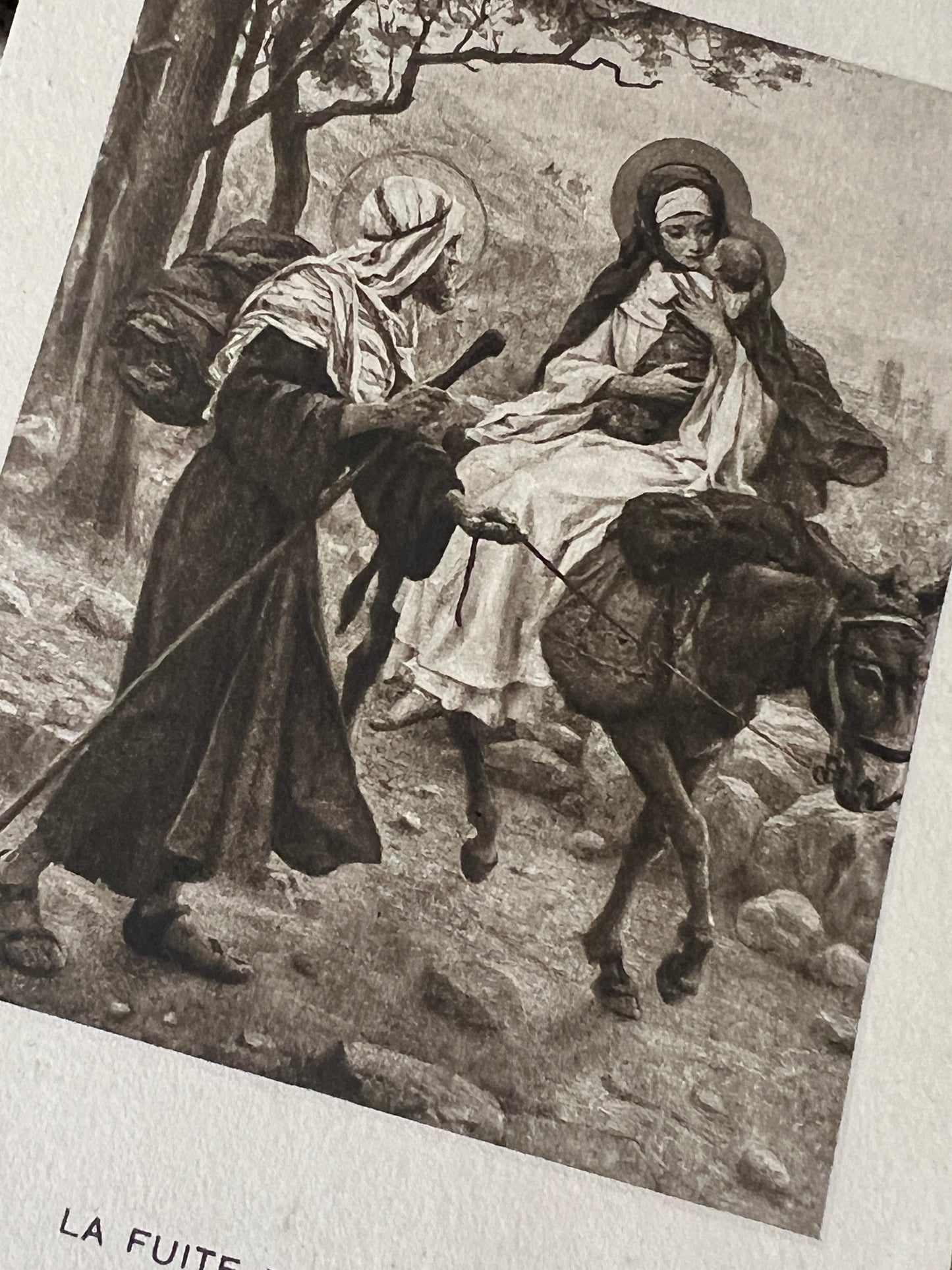 ★ホーリーカードセット