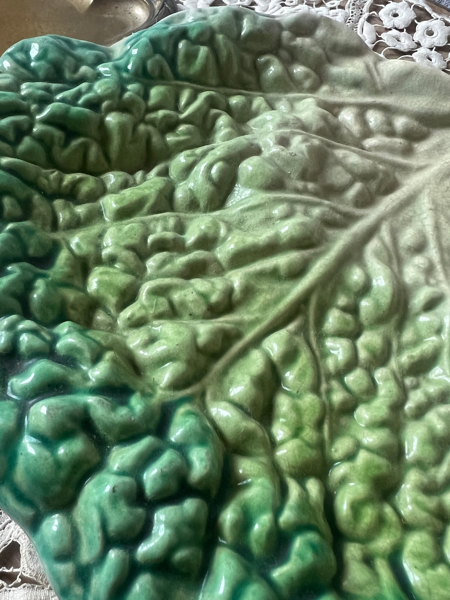 ★キャベツ型バルボティーヌ