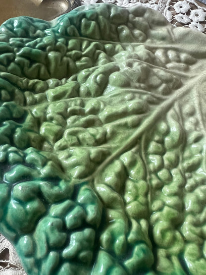 ★キャベツ型バルボティーヌ