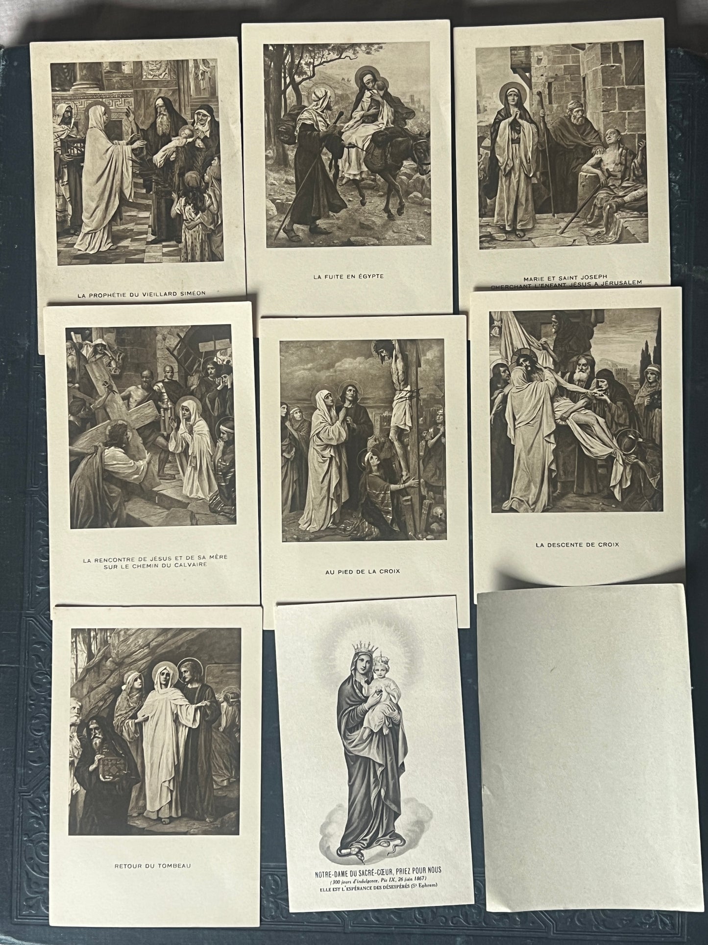 ★ホーリーカードセット