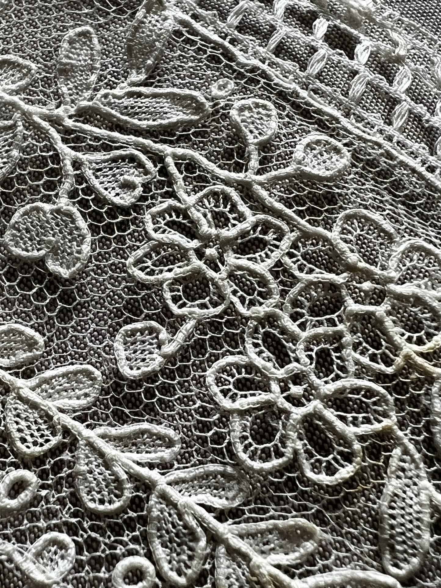 ポワンドガーズレース