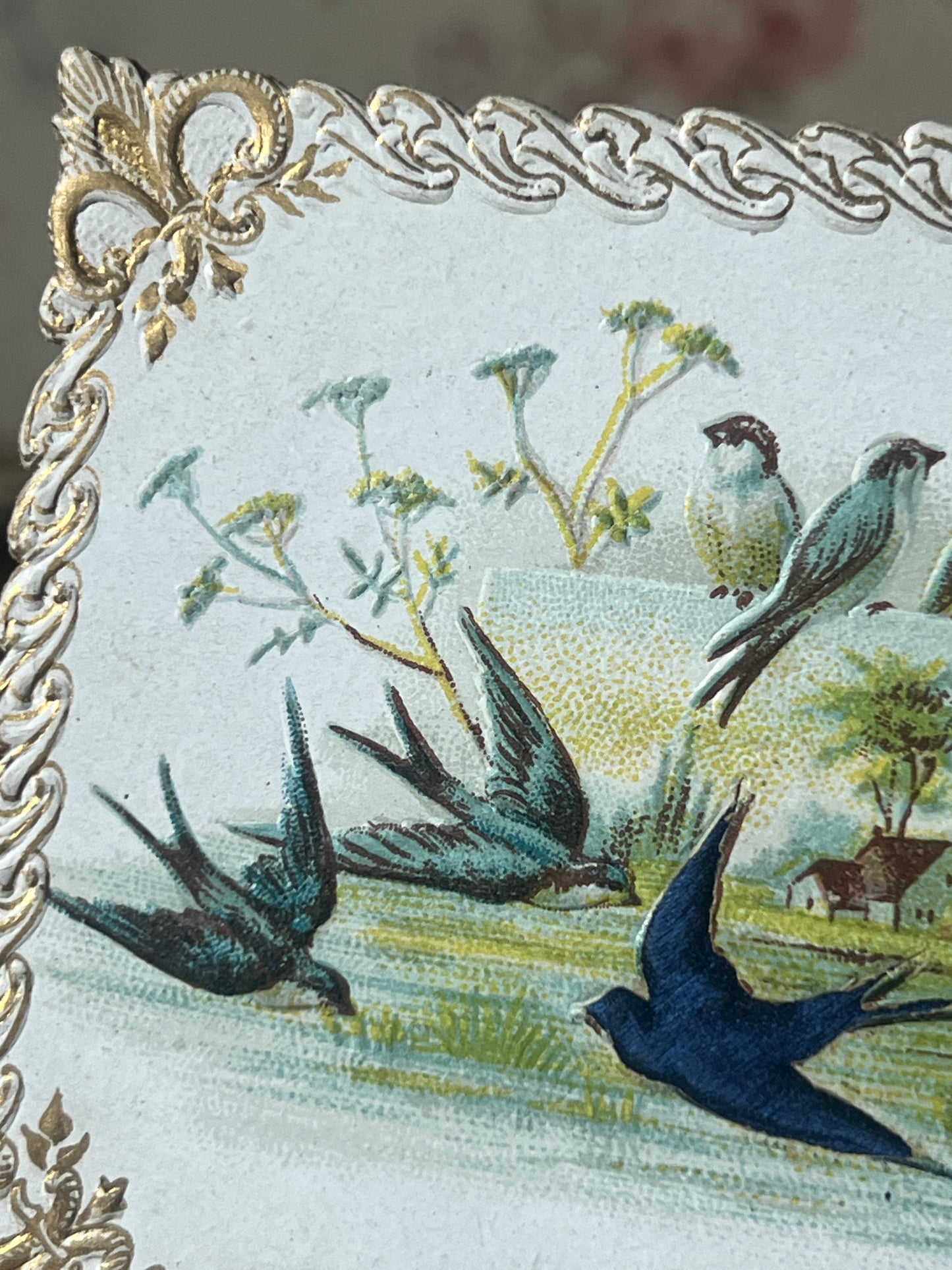 クロモスカード