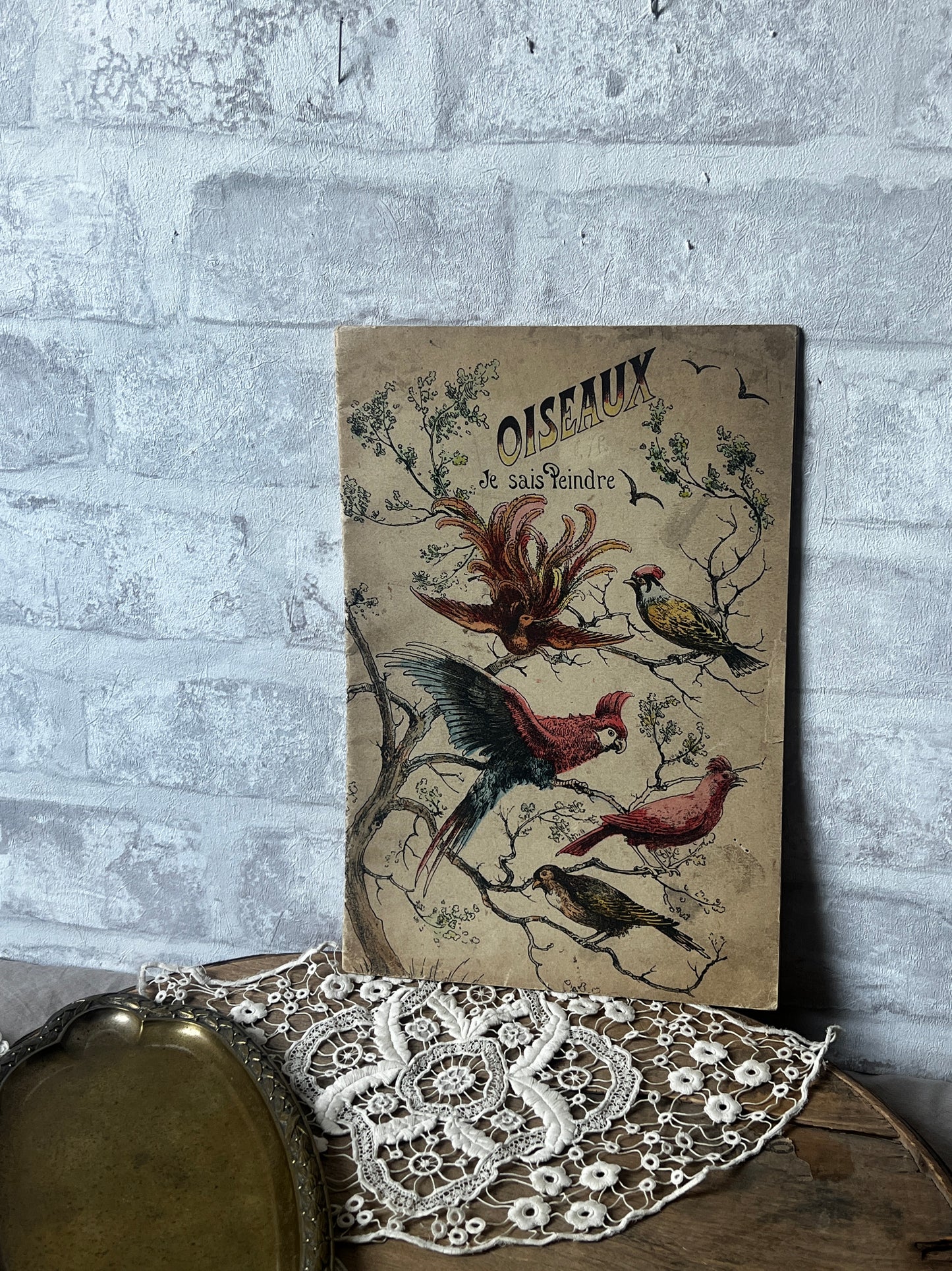 ★鳥の塗り絵帳