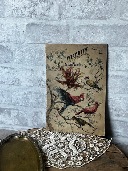 ★鳥の塗り絵帳