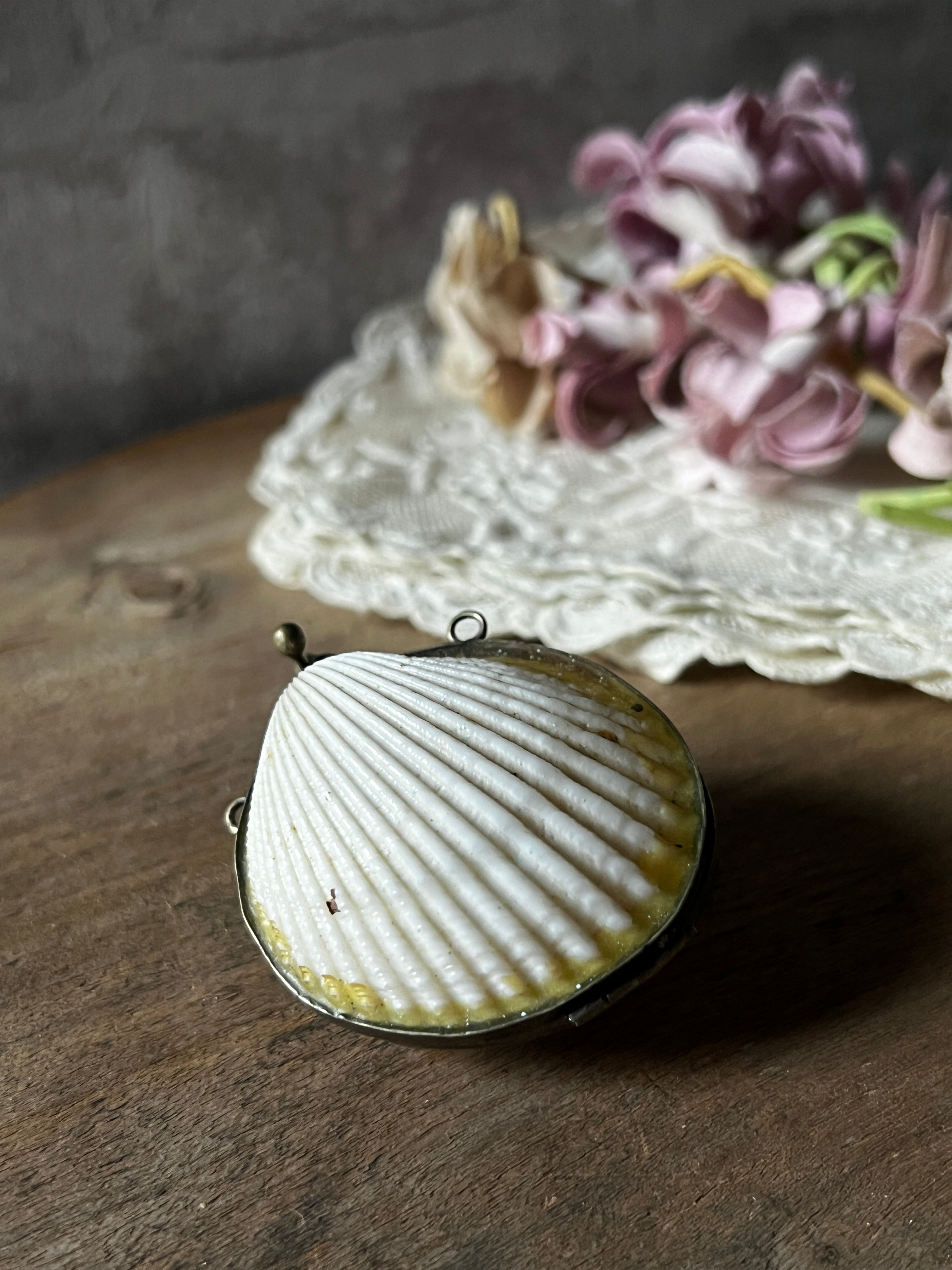 ☆貝殻のがま口 – France Antique 銀色アンティーク