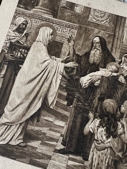 ★ホーリーカードセット