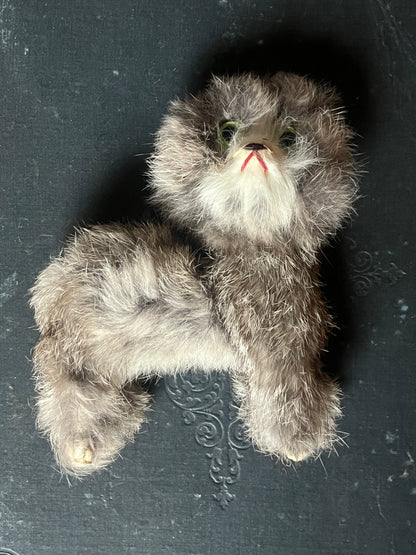 ヴィンテージの猫