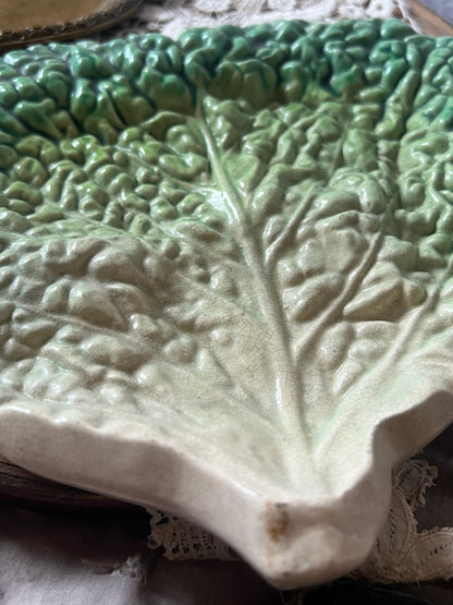 ★キャベツ型バルボティーヌ