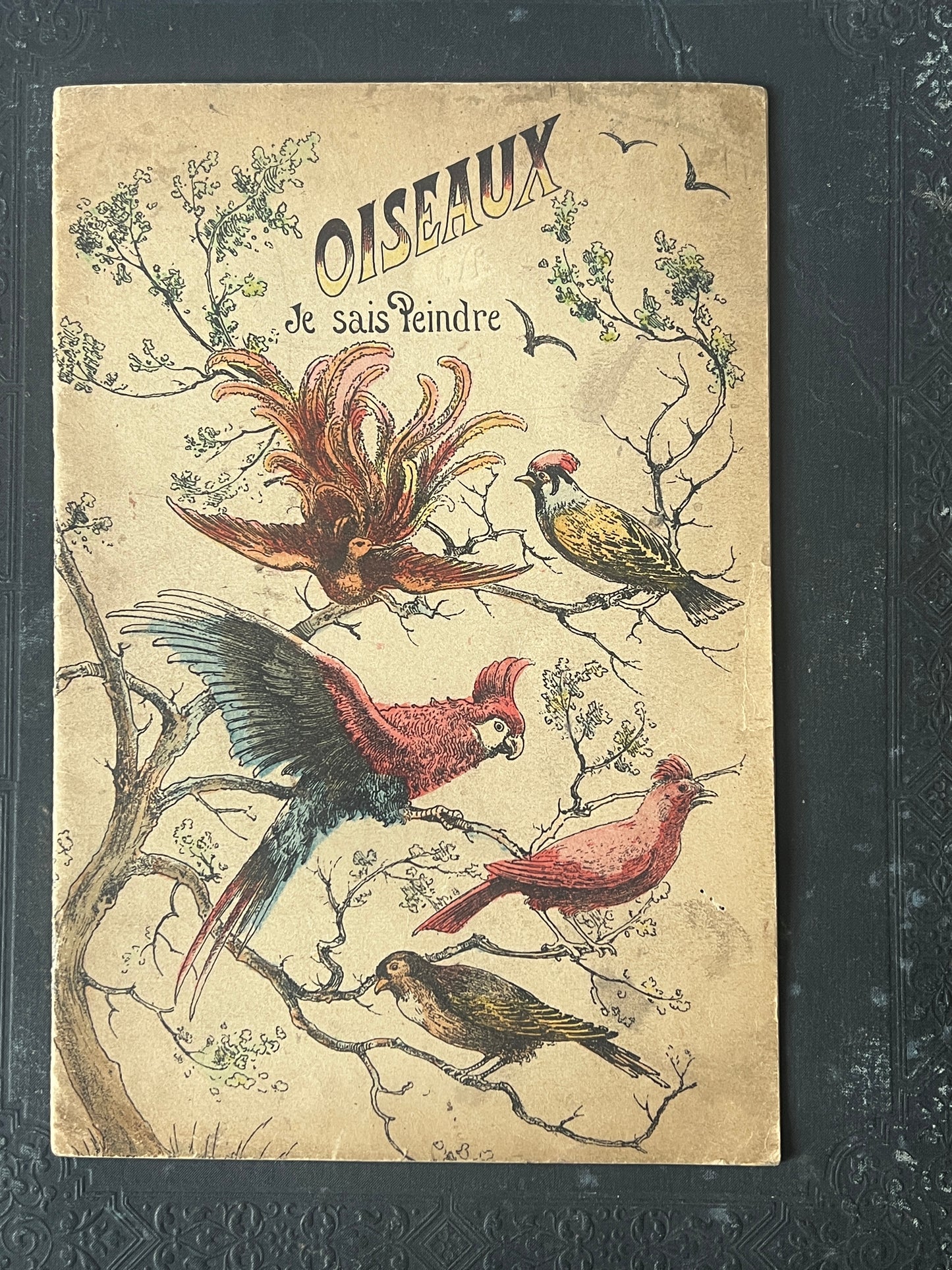 ★鳥の塗り絵帳