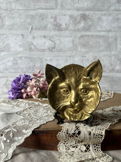猫フェイストレイ