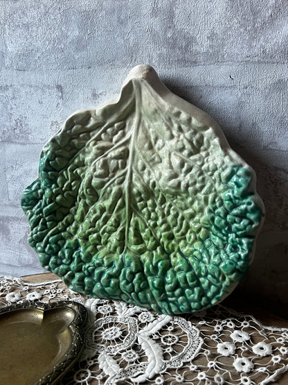 ★キャベツ型バルボティーヌ