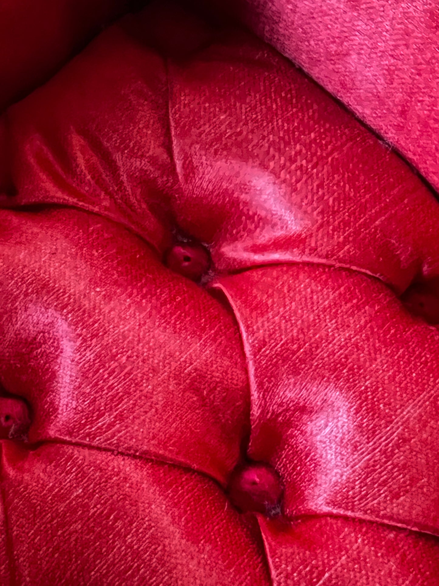 ★スミレとミモザのモシュリンヌ