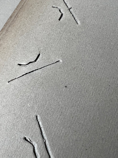 ポストカード用コレクションアルバム