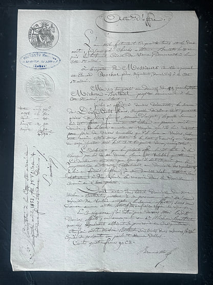 19世紀手描き公文書セット