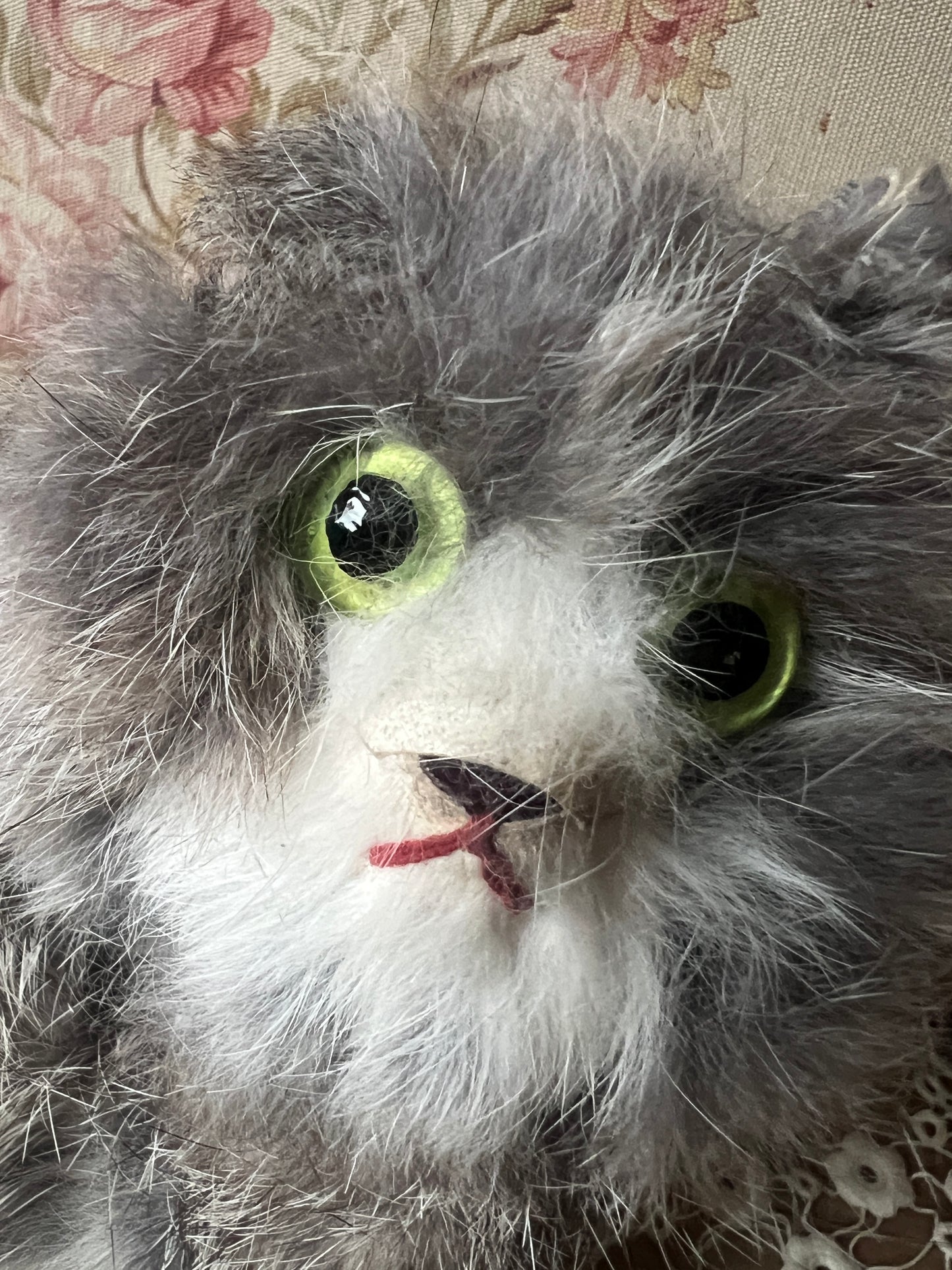 ヴィンテージの猫