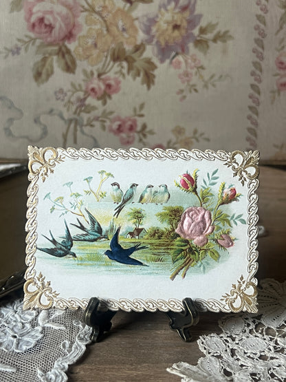 クロモスカード