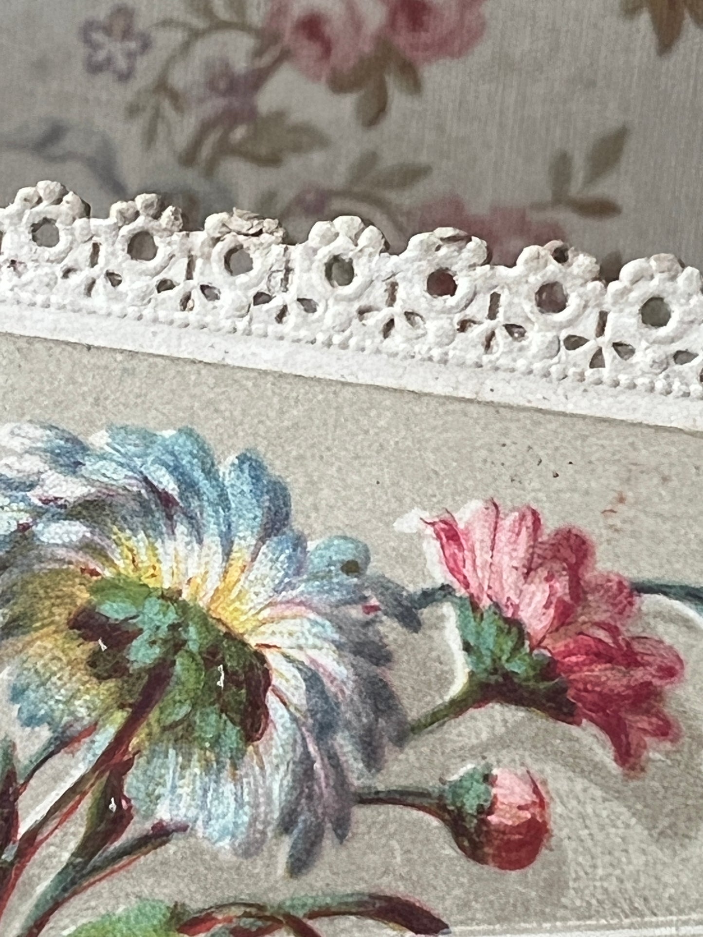 ★カニヴェカード