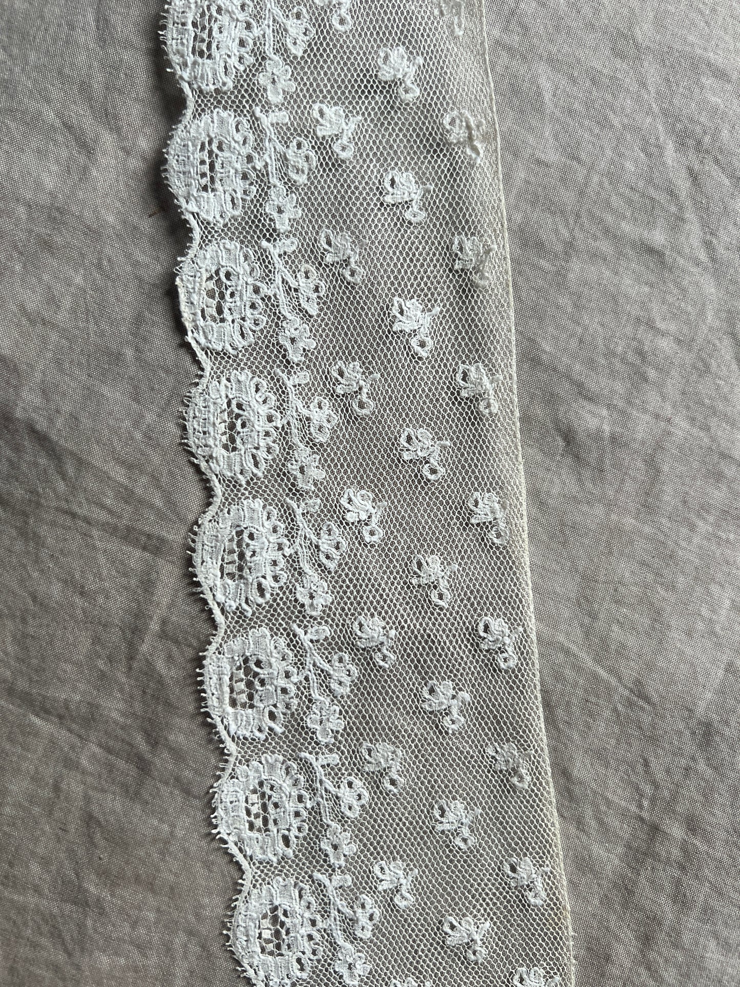 マリーヌレース