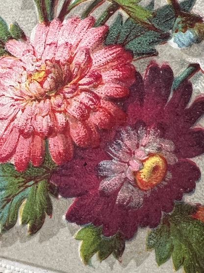 ★カニヴェカード