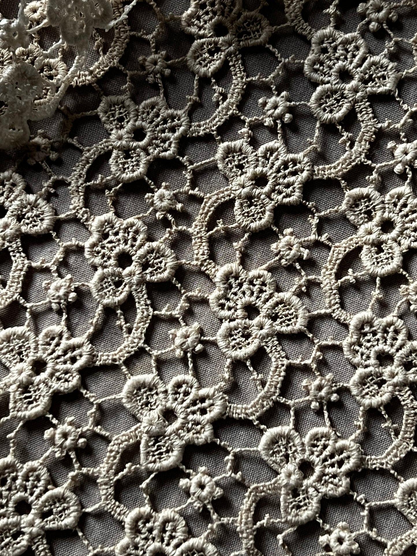 ★ギュピールレース見本セット