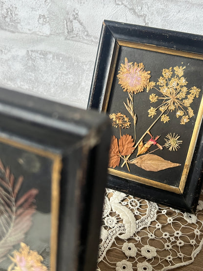 押し花の入ったフレームセット